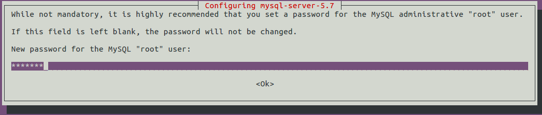 Set Password for MySQL Server